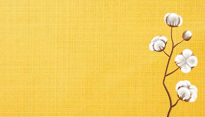 A sprig of white cotton bolls on a textured yellow background, representing The Cotton Collective.